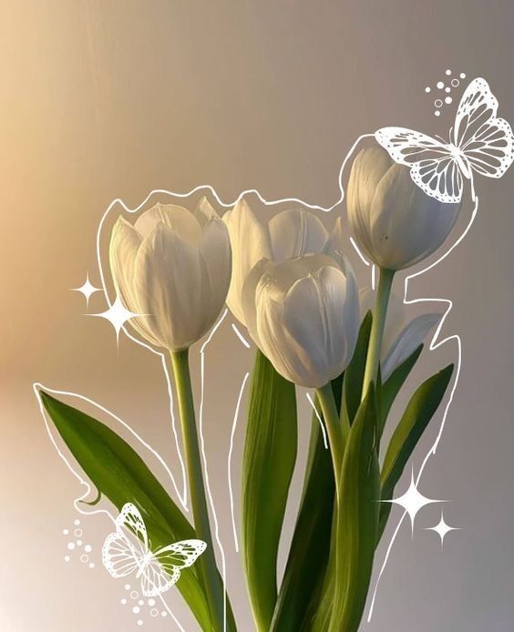 Kawaii Tulips white wallpaper